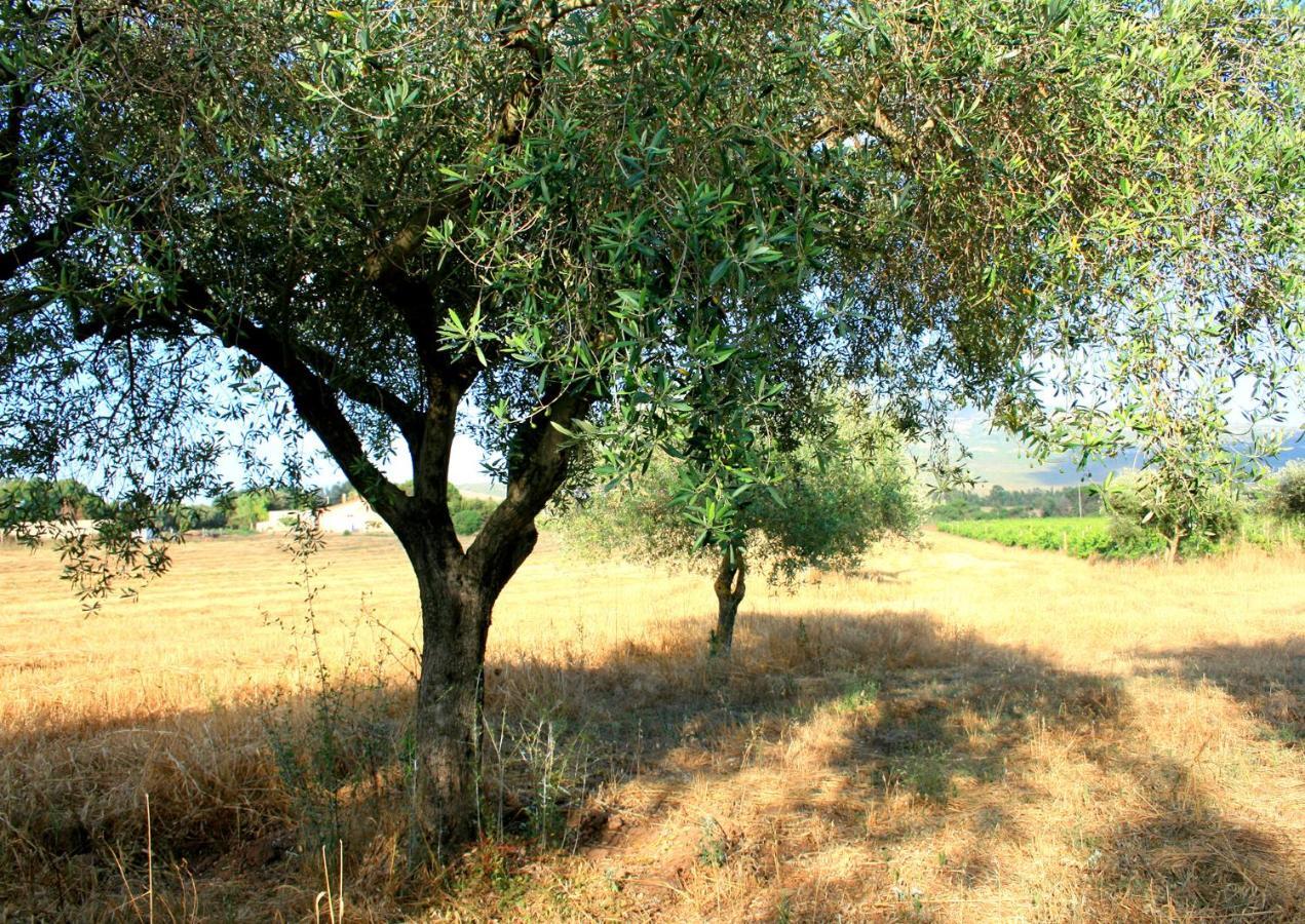 Agriturismo Da Pina Porto Conte Exterior photo